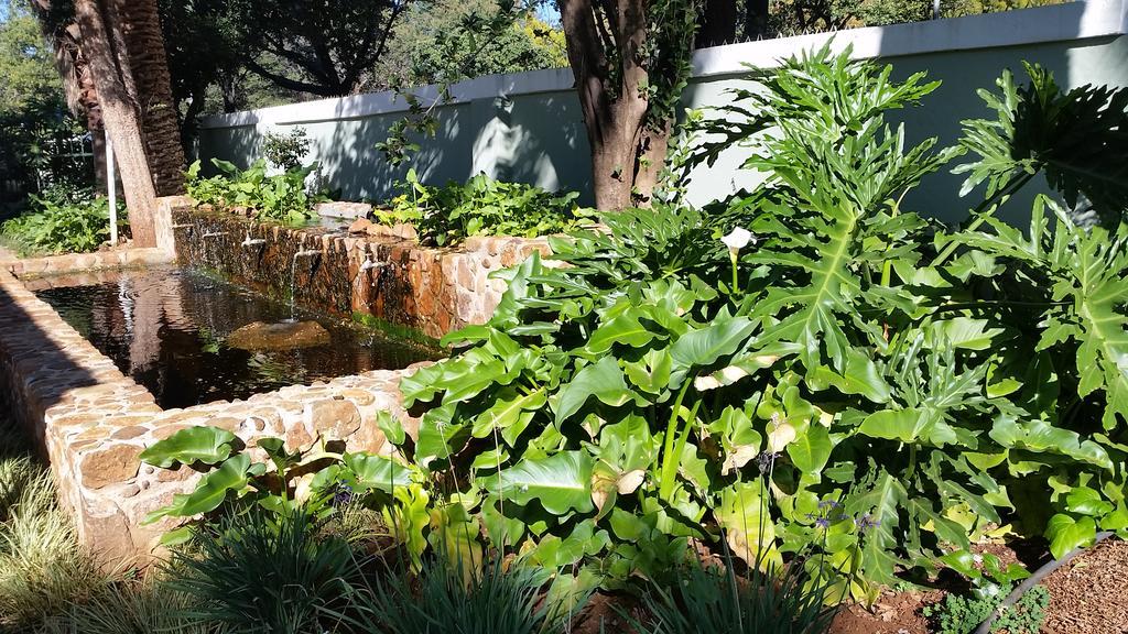 Bauhenia Guesthouse Potchefstroom Buitenkant foto